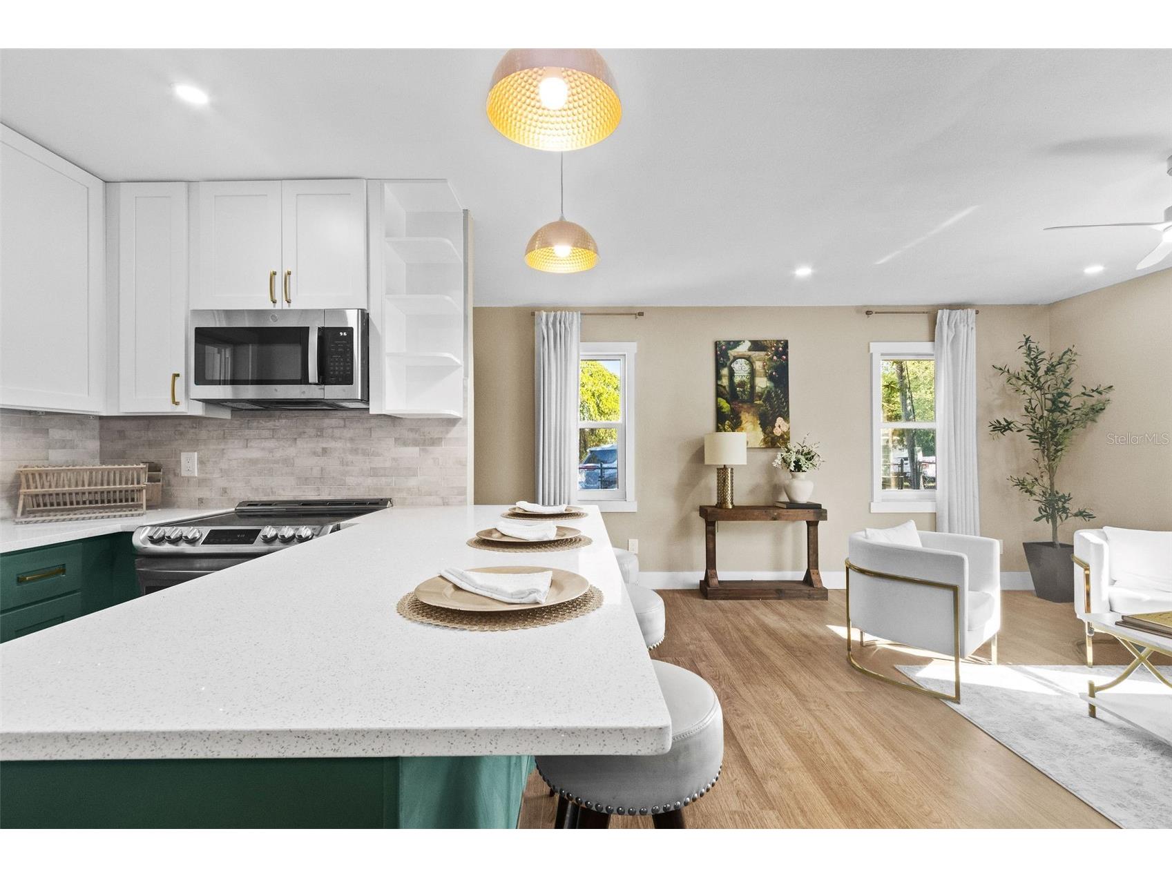 3209 E Frierson Avenue Tampa FL 33610 TB8487988 image11