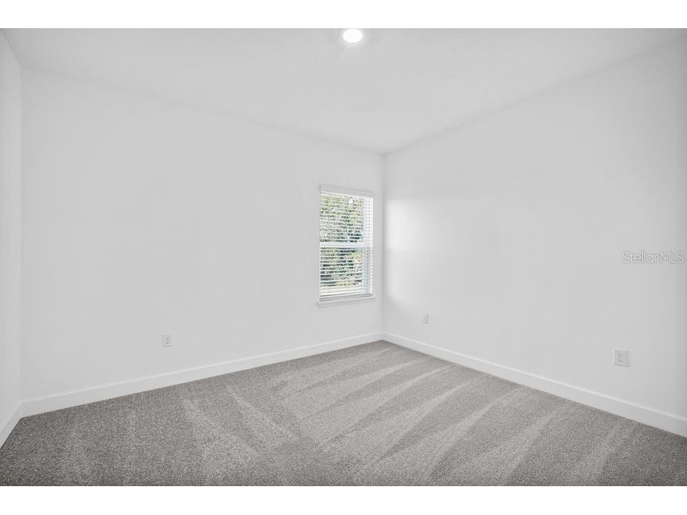 3209 Lumber Falls Drive Plant City FL 33565 TB8458307 image14