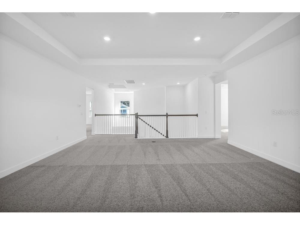 3209 Lumber Falls Drive Plant City FL 33565 TB8458307 image26