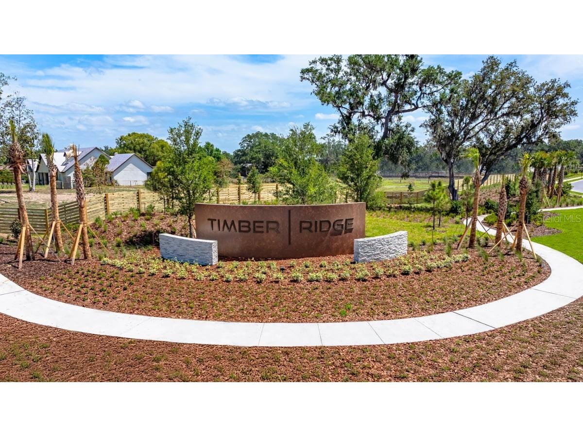 3209 Lumber Falls Drive Plant City FL 33565 TB8458307 image36