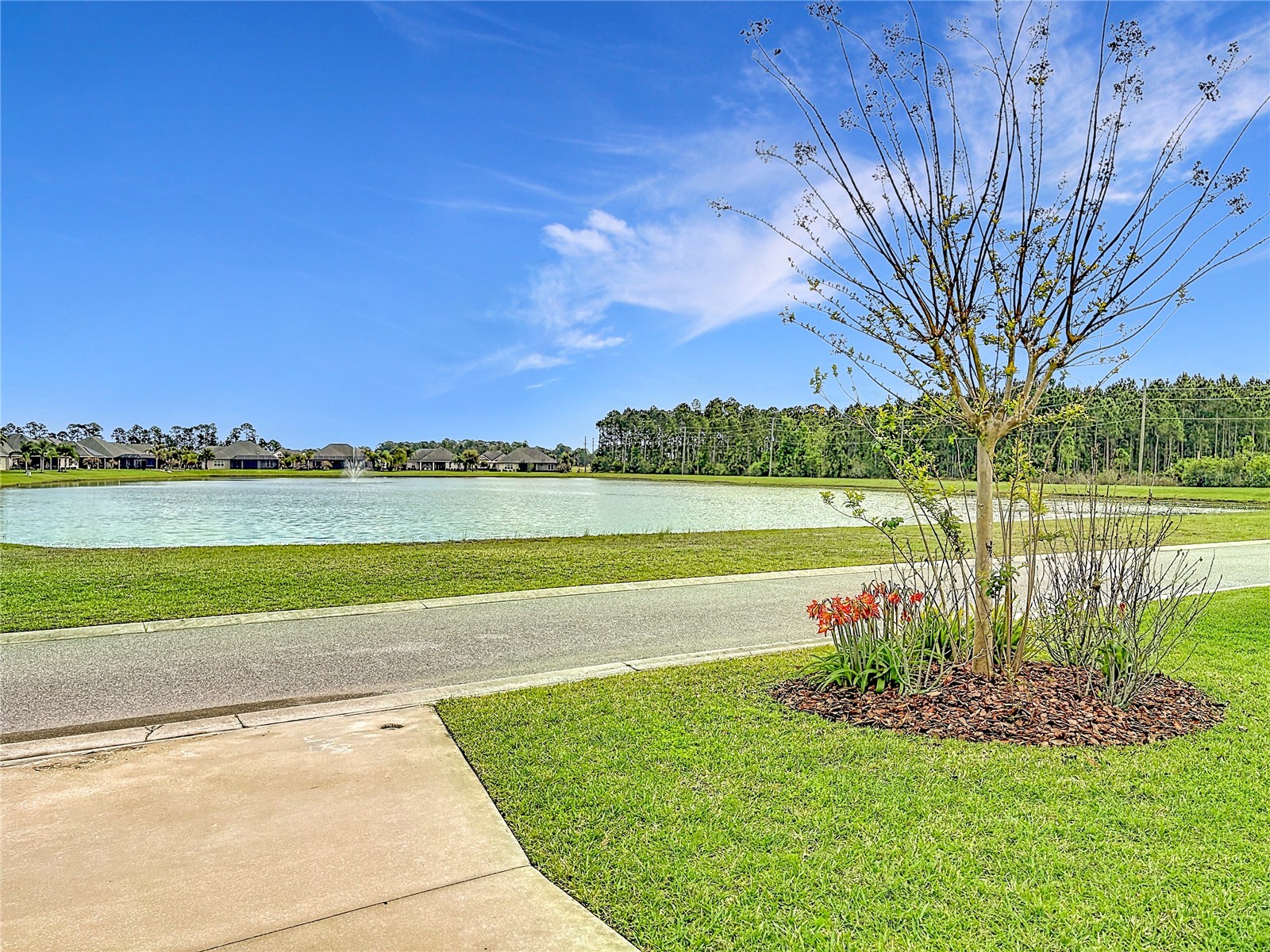 3209 Meleto Boulevard New Smyrna Beach FL 32168 NS1087782 image53