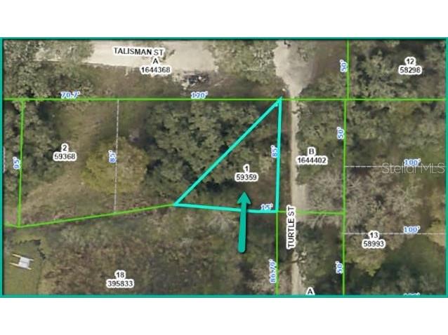 3209 Turtle Street Dade City FL 33523 O6164555 image1