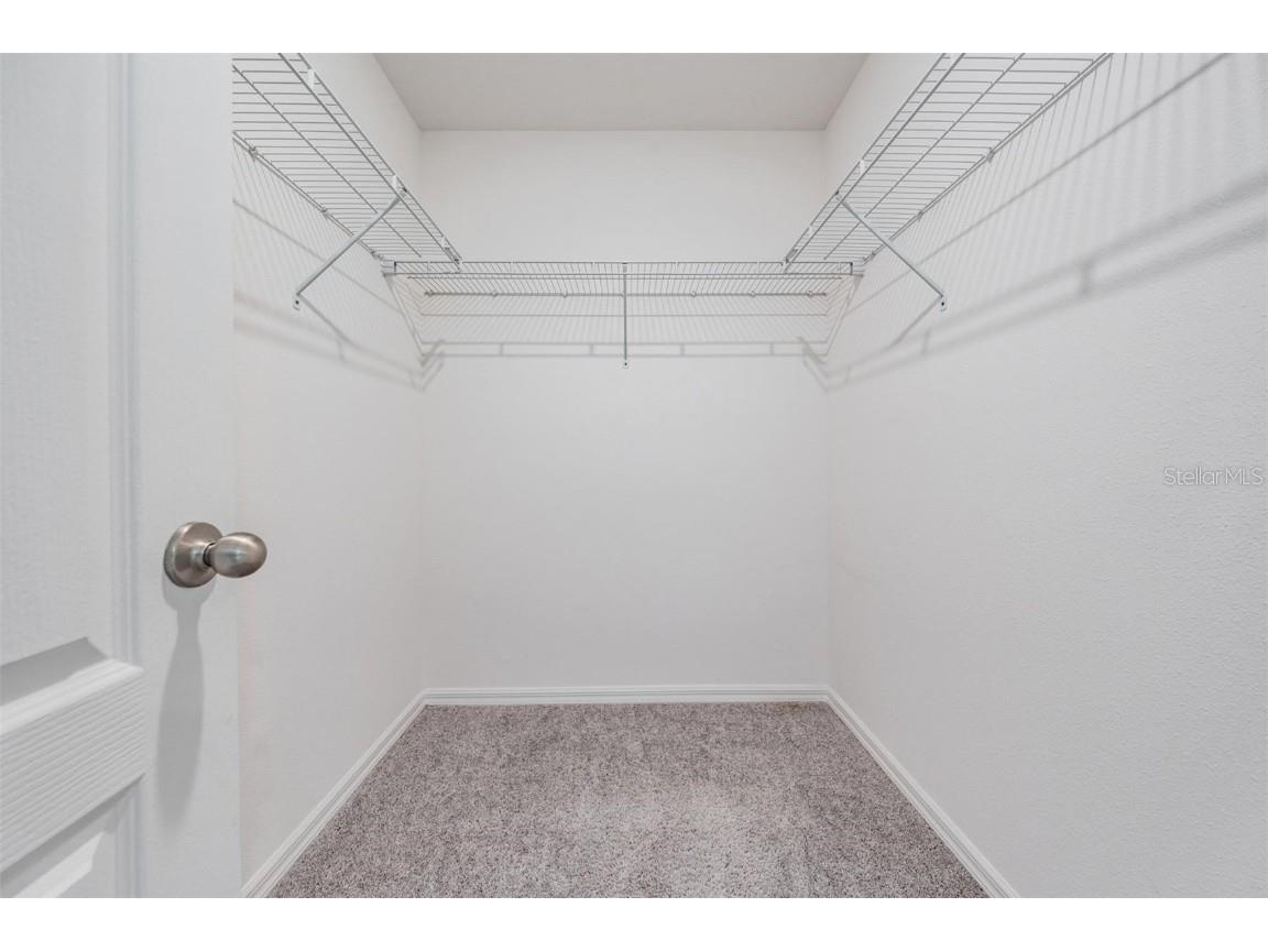 32096 Pond Apple Bend San Antonio FL 33576 TB8451309 image26