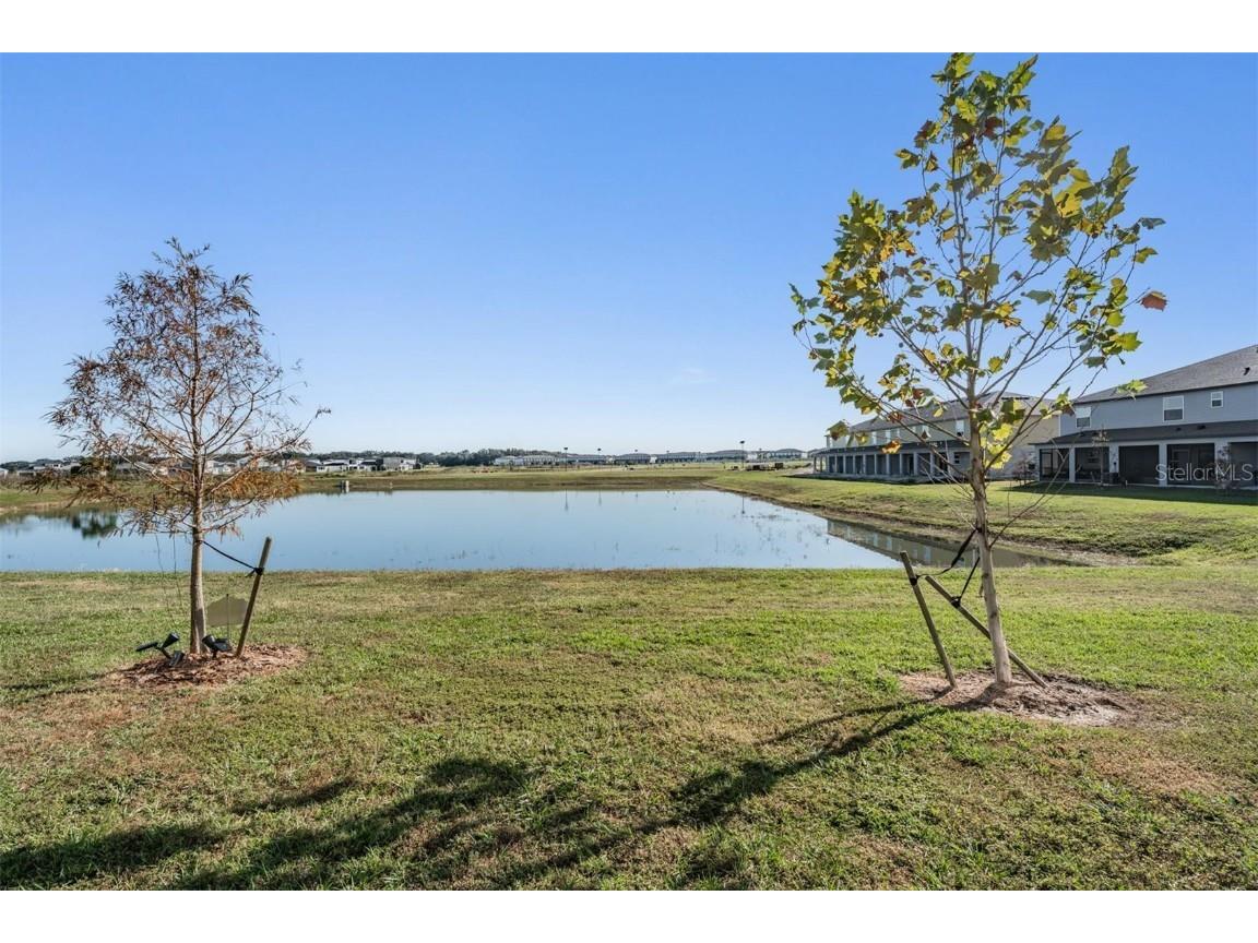 32096 Pond Apple Bend San Antonio FL 33576 TB8451309 image54