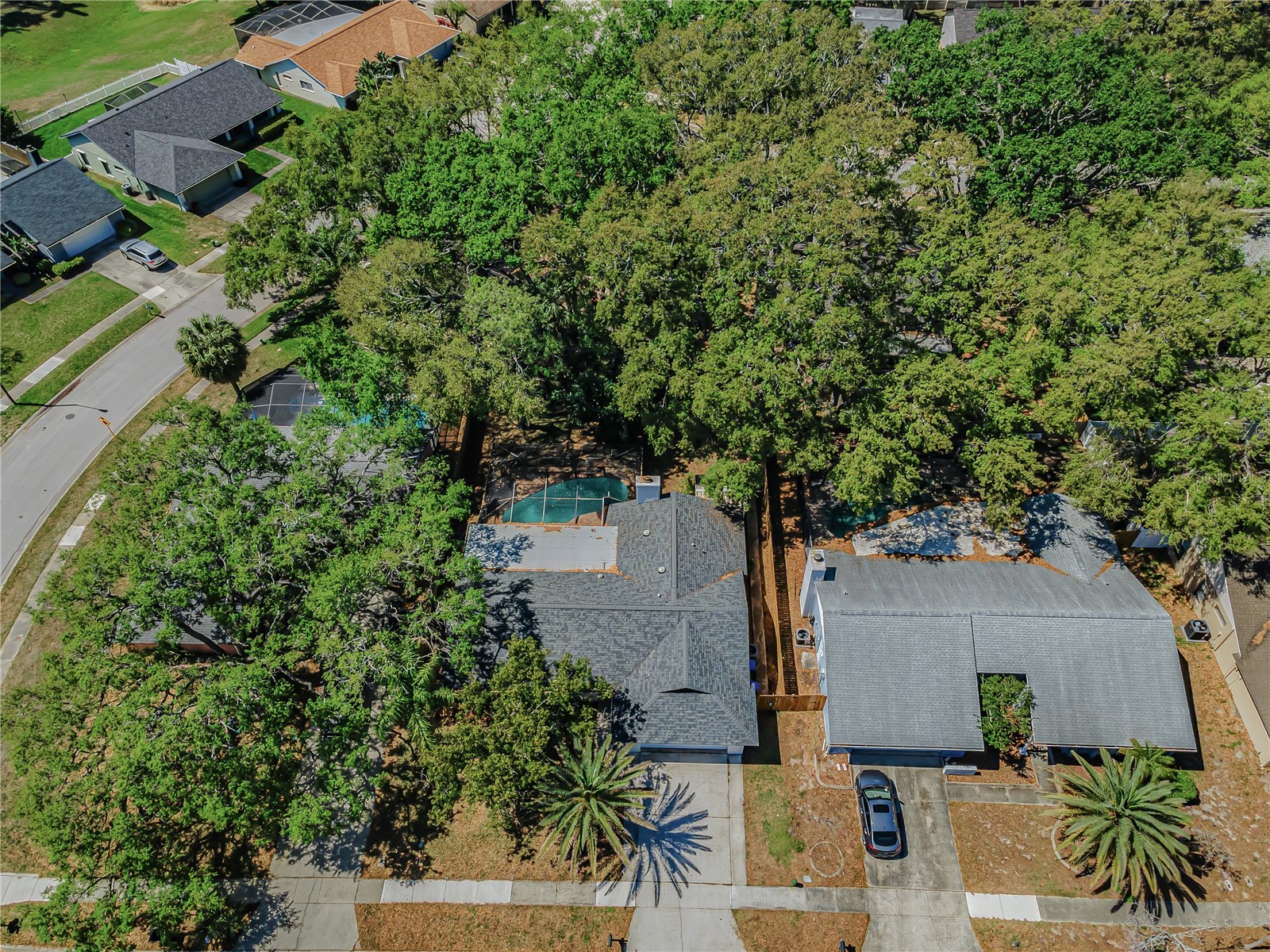 321 Arbor Drive E Palm Harbor FL 34683 TB8486200 image11