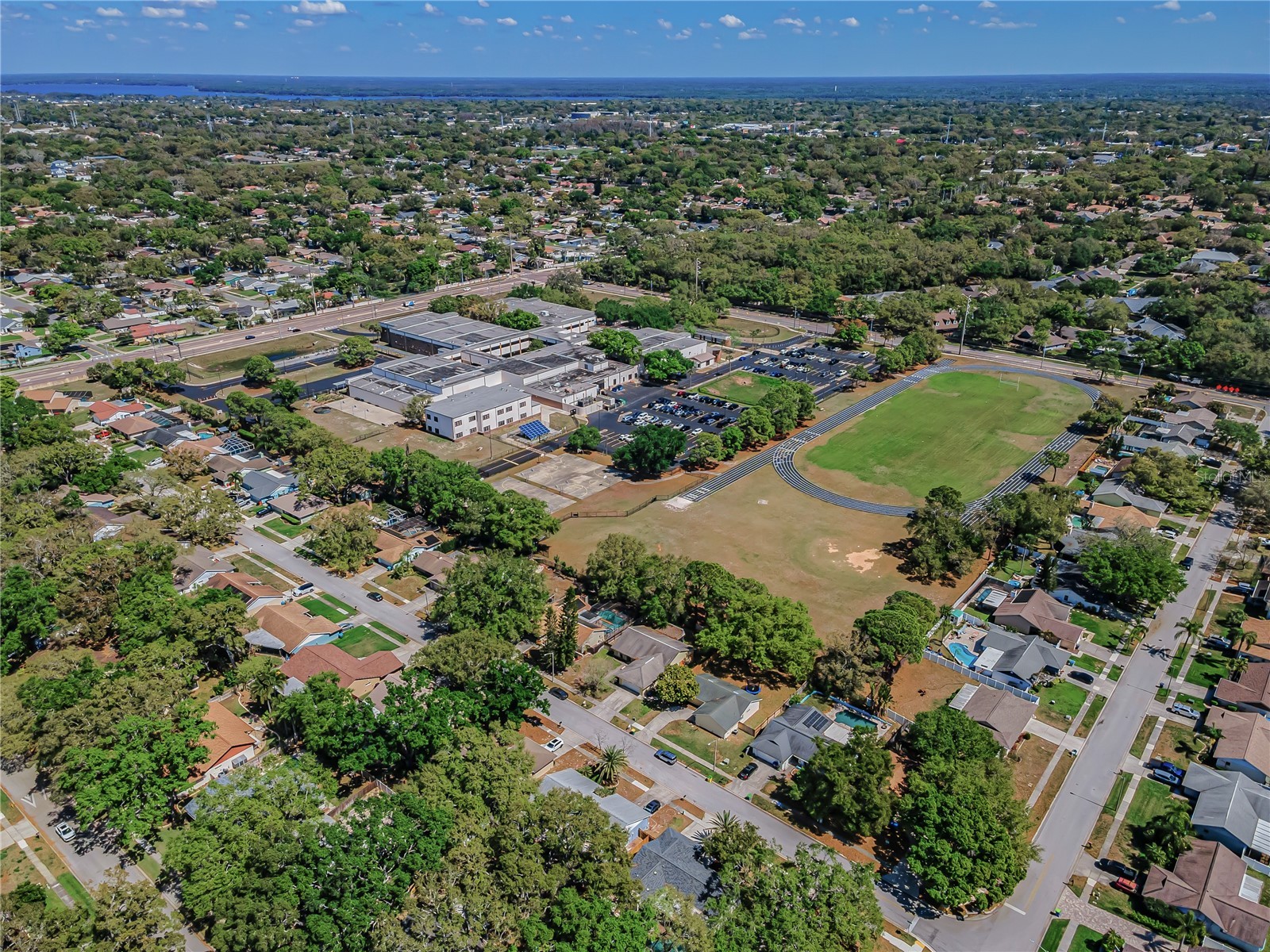 321 Arbor Drive E Palm Harbor FL 34683 TB8486200 image13