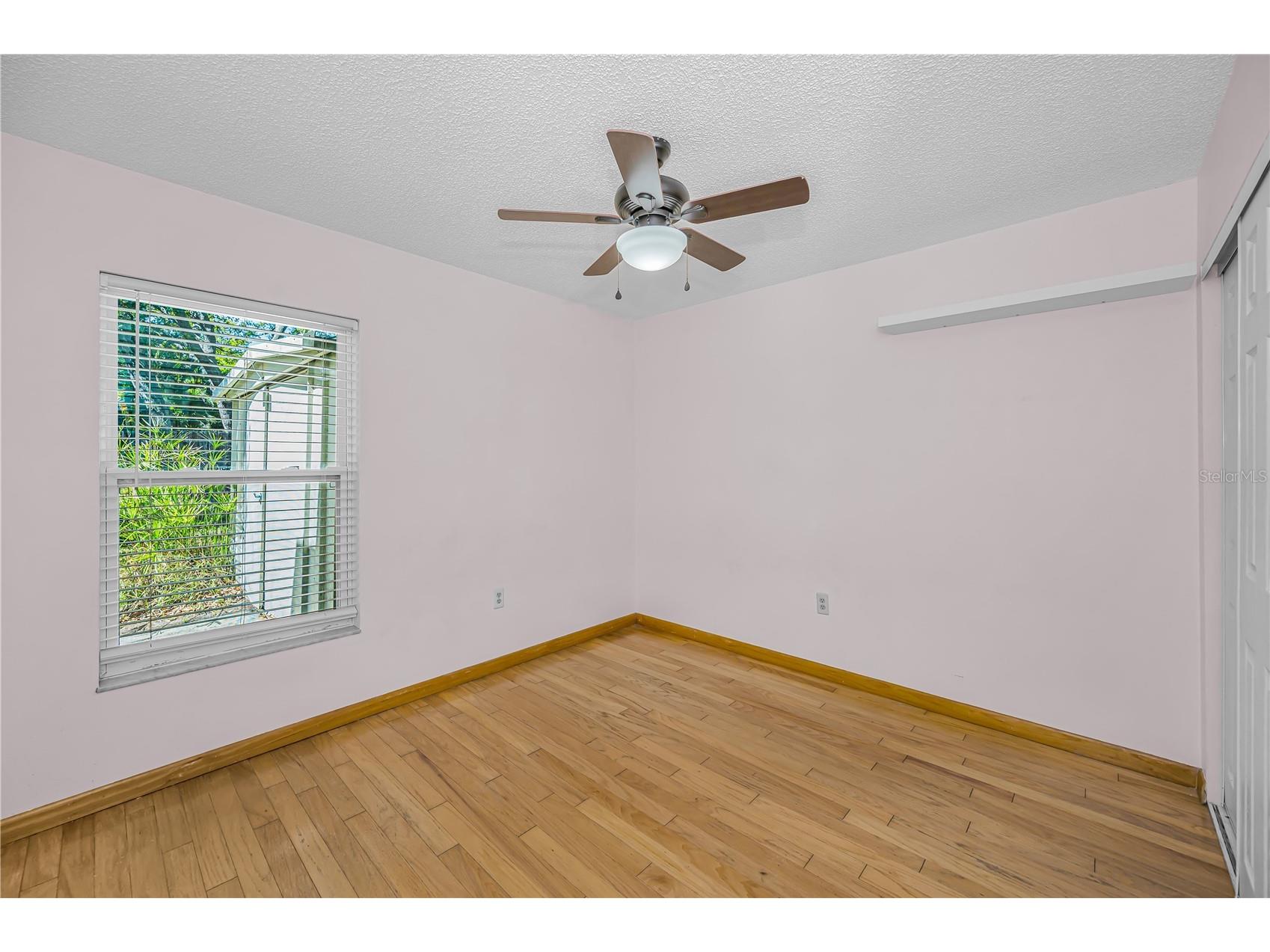 321 Arbor Drive E Palm Harbor FL 34683 TB8486200 image20