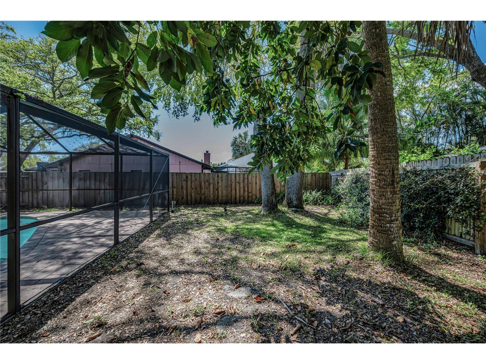 321 Arbor Drive E Palm Harbor FL 34683 TB8486200 image27