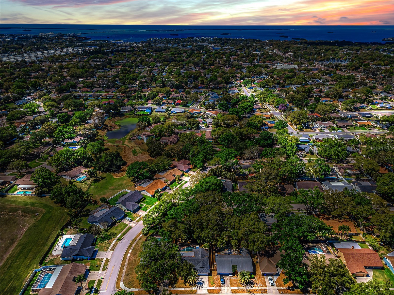 321 Arbor Drive E Palm Harbor FL 34683 TB8486200 image30