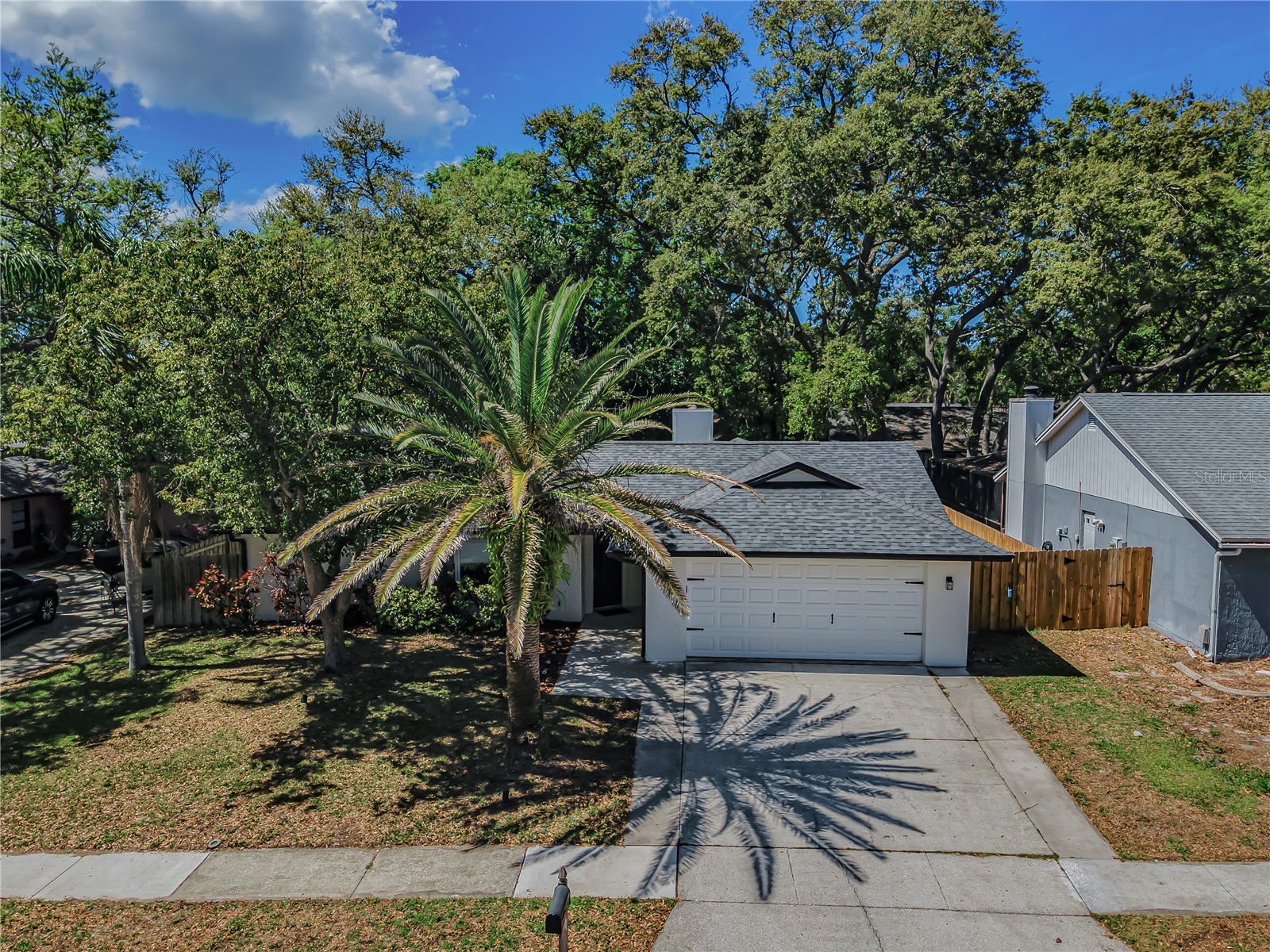 321 Arbor Drive E Palm Harbor FL 34683 TB8486200 image31