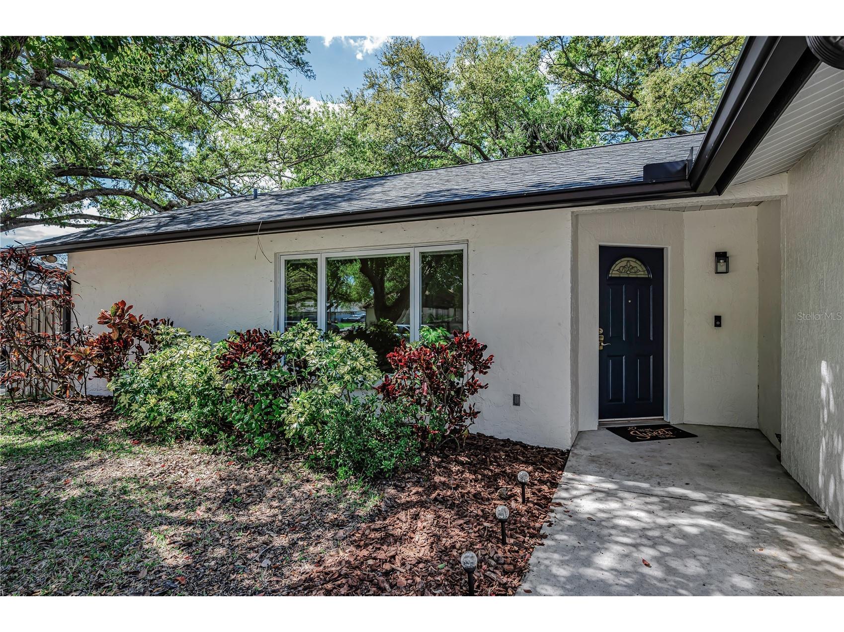 321 Arbor Drive E Palm Harbor FL 34683 TB8486200 image4