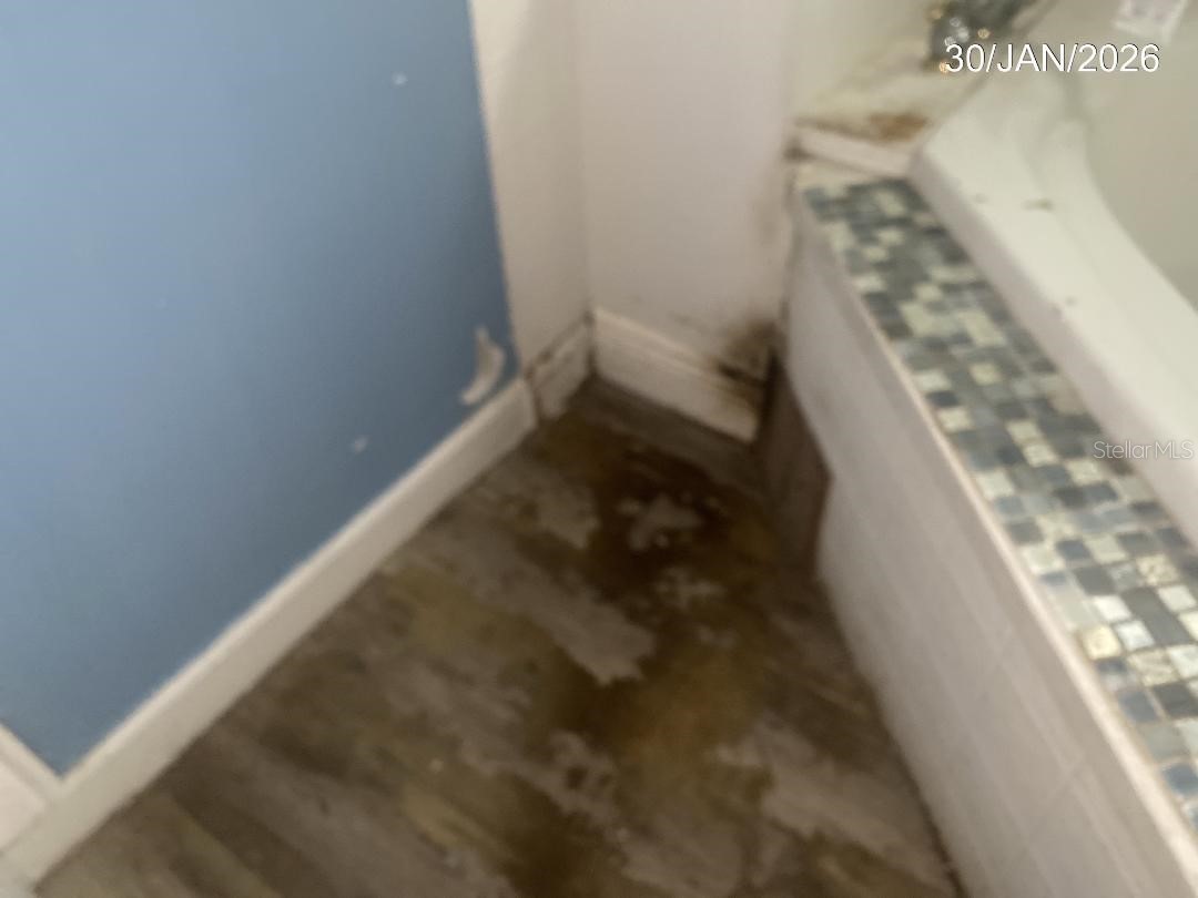 321 Ariana Avenue Auburndale FL 33823 L4960318 image13