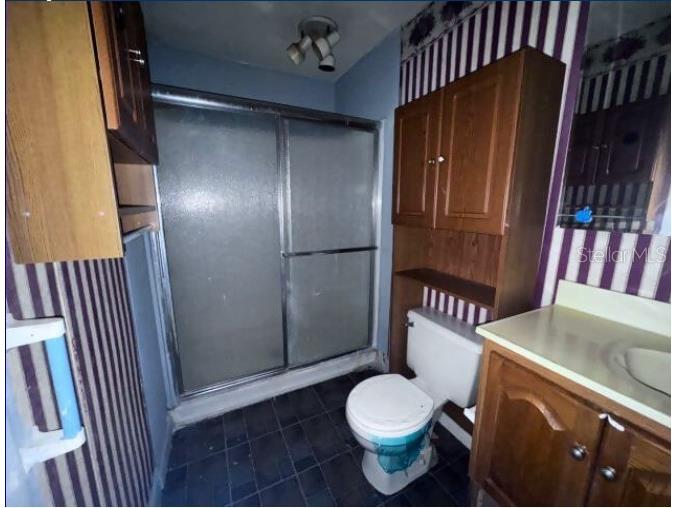 321 Ariana Avenue Auburndale FL 33823 O6410272 image7
