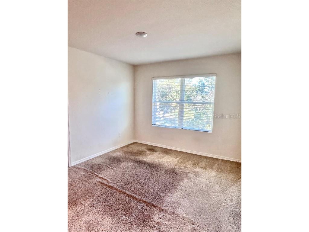 321 Blue Point Drive Ruskin FL 33570 TB8453297 image14