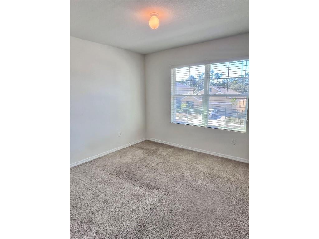 321 Blue Point Drive Ruskin FL 33570 TB8453297 image17