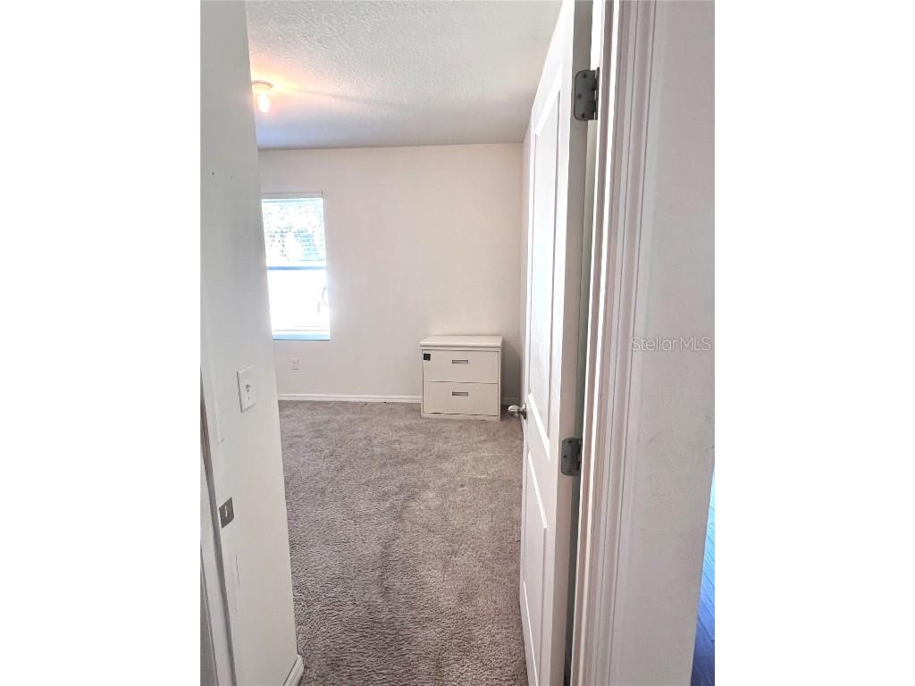 321 Blue Point Drive Ruskin FL 33570 TB8453297 image9