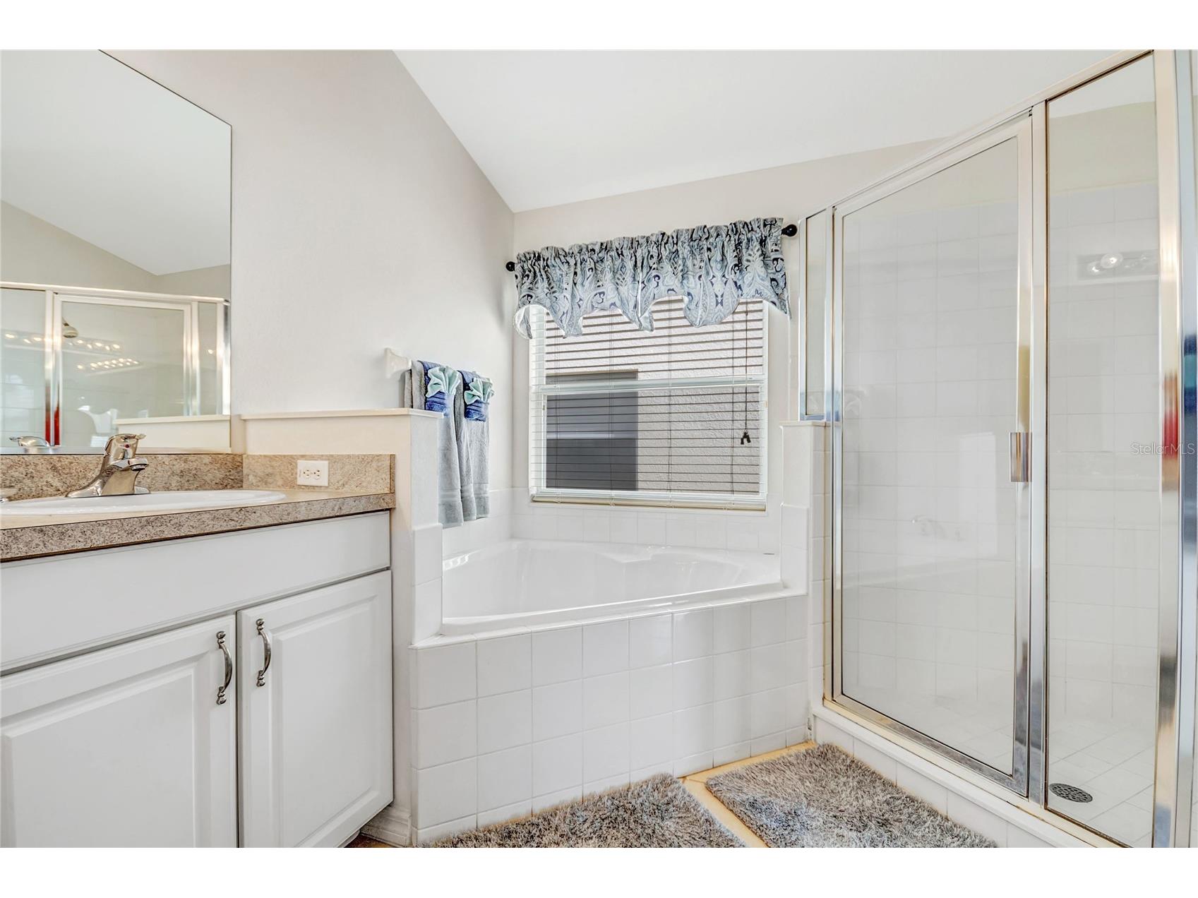 321 Bridgewater Drive Davenport FL 33897 S5144312 image10