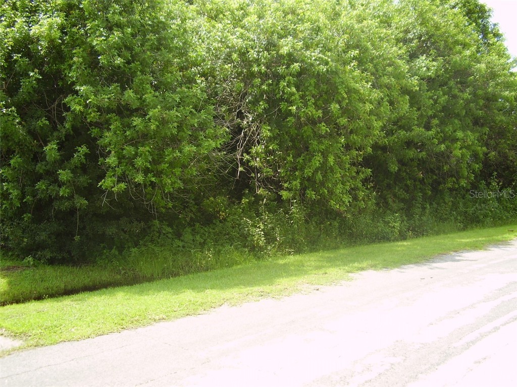 321 Caen Court Kissimmee FL 34759 R4909986 image2