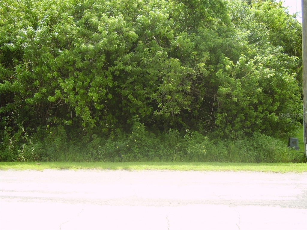 321 Caen Court Kissimmee FL 34759 R4909986 image3