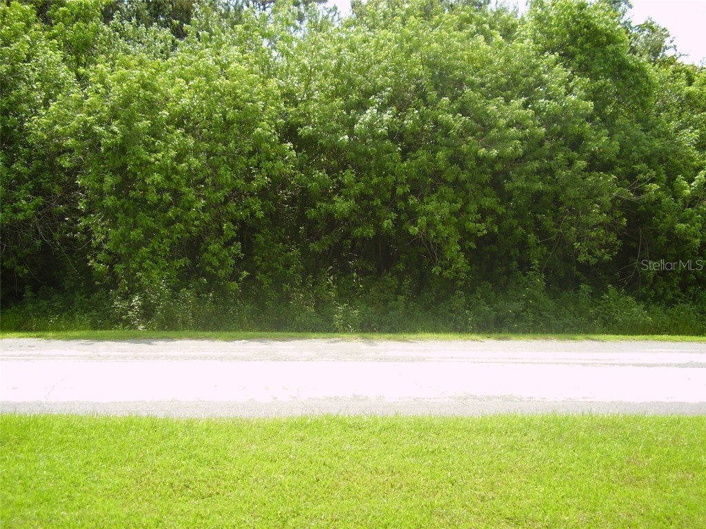 321 Caen Court Kissimmee FL 34759 R4909986 image4