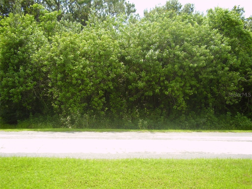 321 Caen Court Kissimmee FL 34759 R4909986 image5