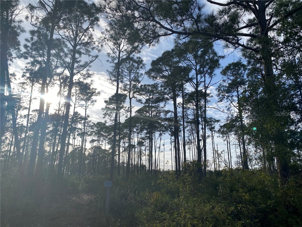 321 Campbell Street Port Charlotte FL 33953 A4595135 image1