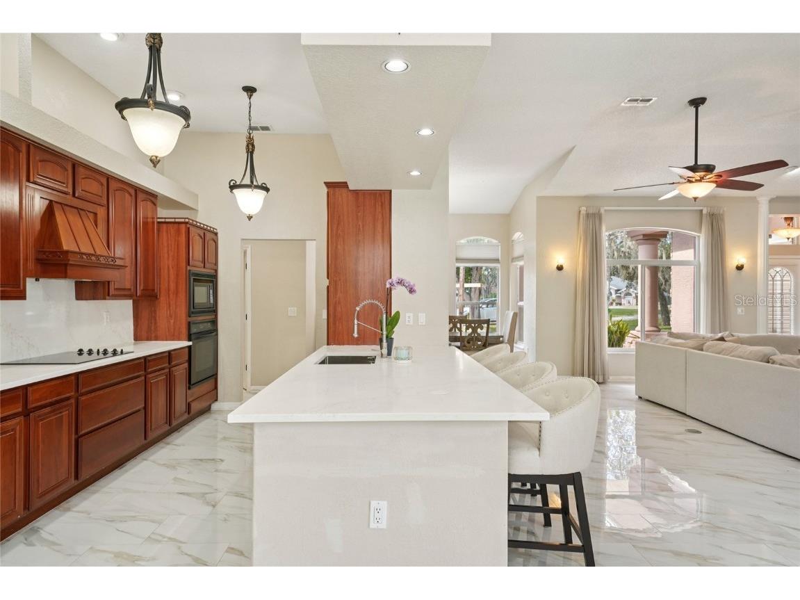 321 Cressida Circle Spring Hill FL 34609 TB8445083 image27