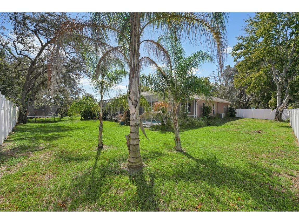 321 Cressida Circle Spring Hill FL 34609 TB8445083 image59
