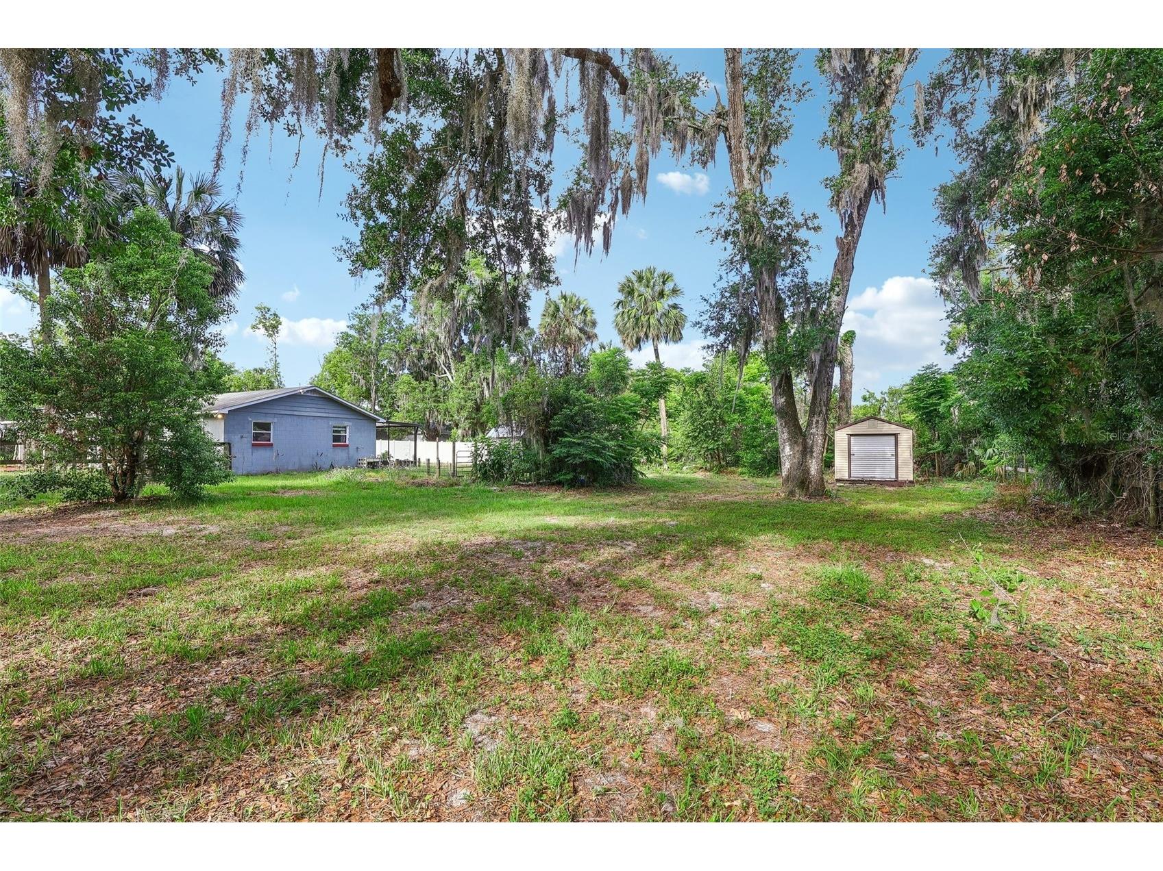 321 E 11th Avenue Mount Dora FL 32757 G5111756 image30