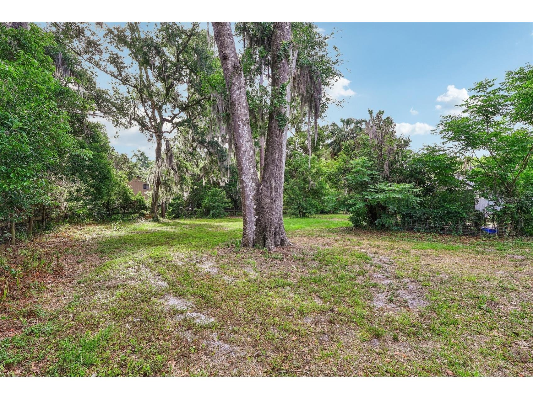 321 E 11th Avenue Mount Dora FL 32757 G5111756 image31