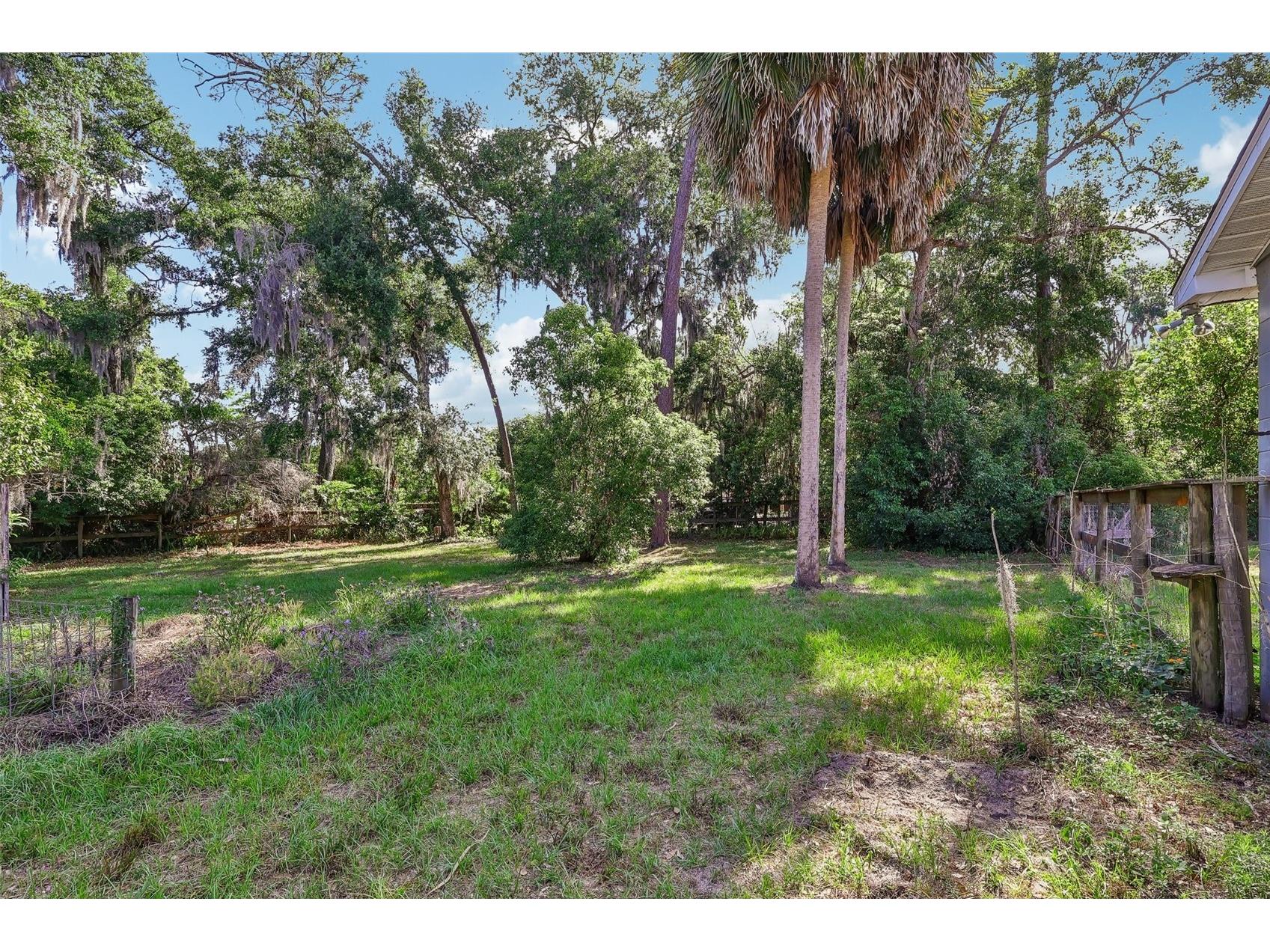 321 E 11th Avenue Mount Dora FL 32757 G5111756 image35
