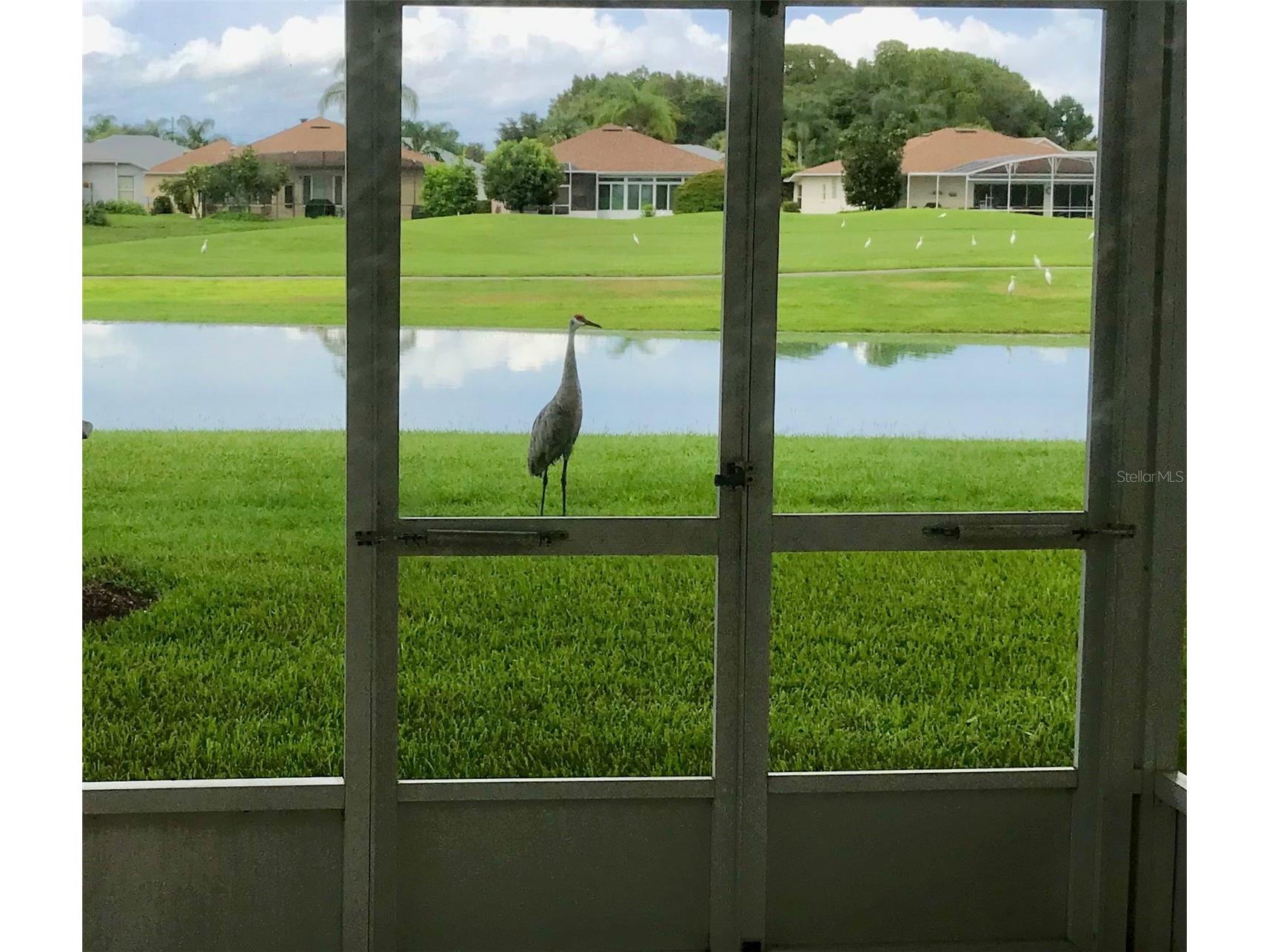 321 Ranchwood Drive Leesburg FL 34748 G5093172 image50