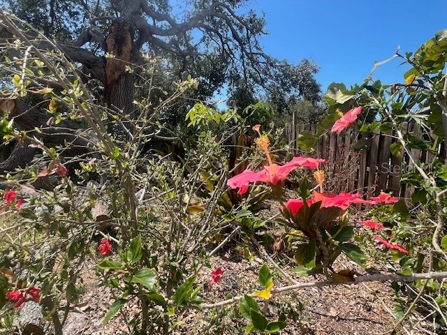 321 Ravenna Street N Nokomis FL 34275 - SHAKETT CREEK G5094419 image13