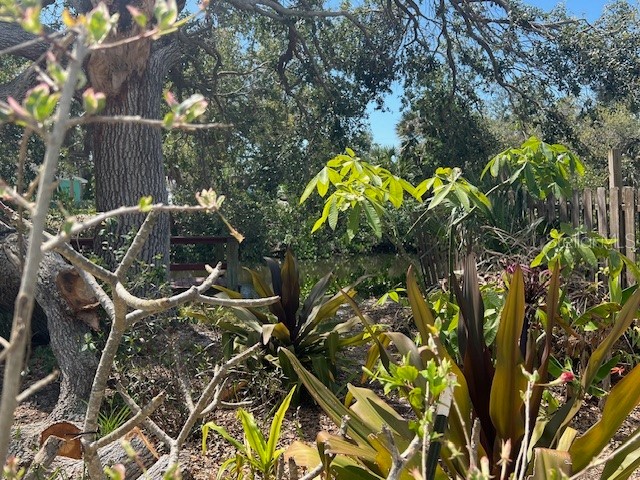 321 Ravenna Street N Nokomis FL 34275 - SHAKETT CREEK G5094419 image14