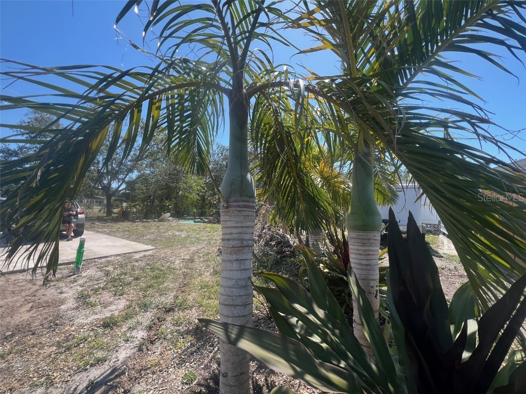 321 Ravenna Street N Nokomis FL 34275 - SHAKETT CREEK G5094419 image16