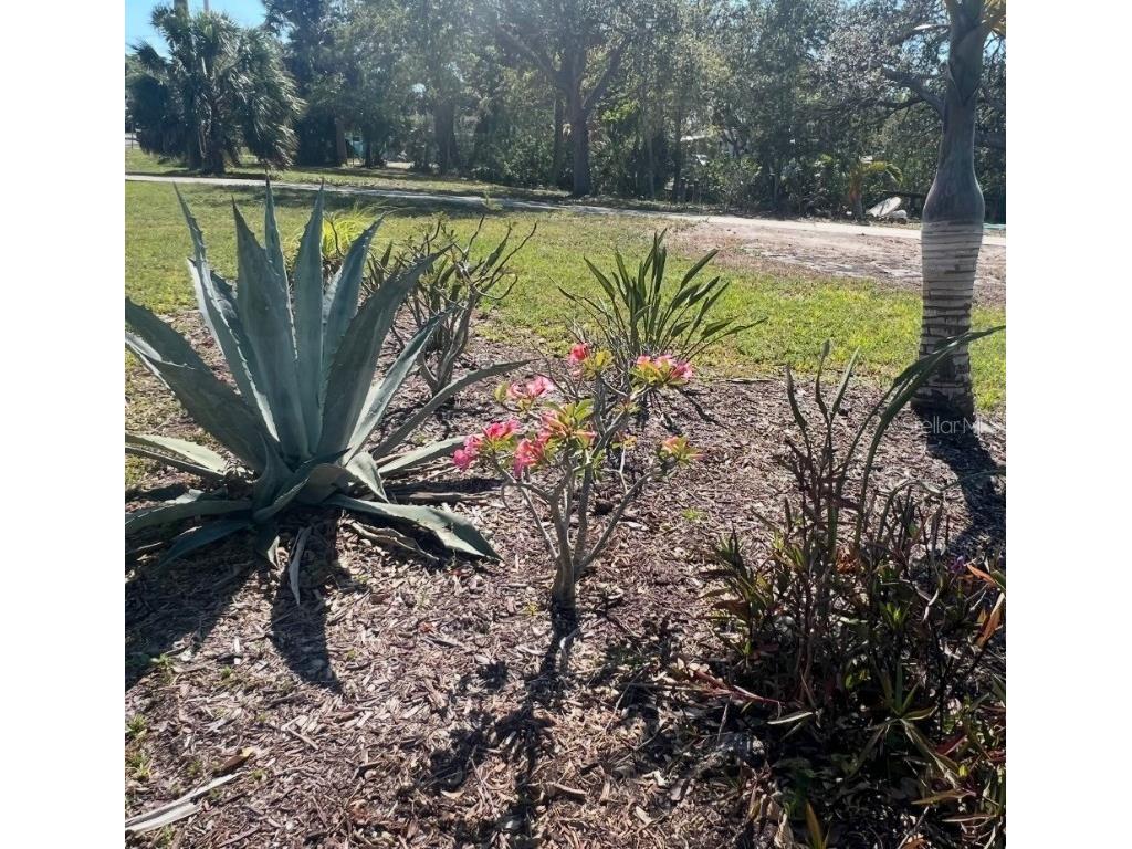 321 Ravenna Street N Nokomis FL 34275 - SHAKETT CREEK G5094419 image18