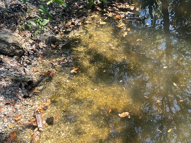 321 Ravenna Street N Nokomis FL 34275 - SHAKETT CREEK G5094419 image7