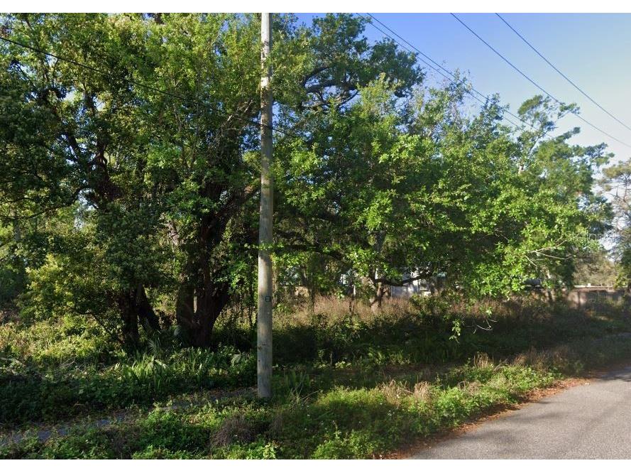 321 S Lakewood Drive Brandon FL 33511 J991570 image1