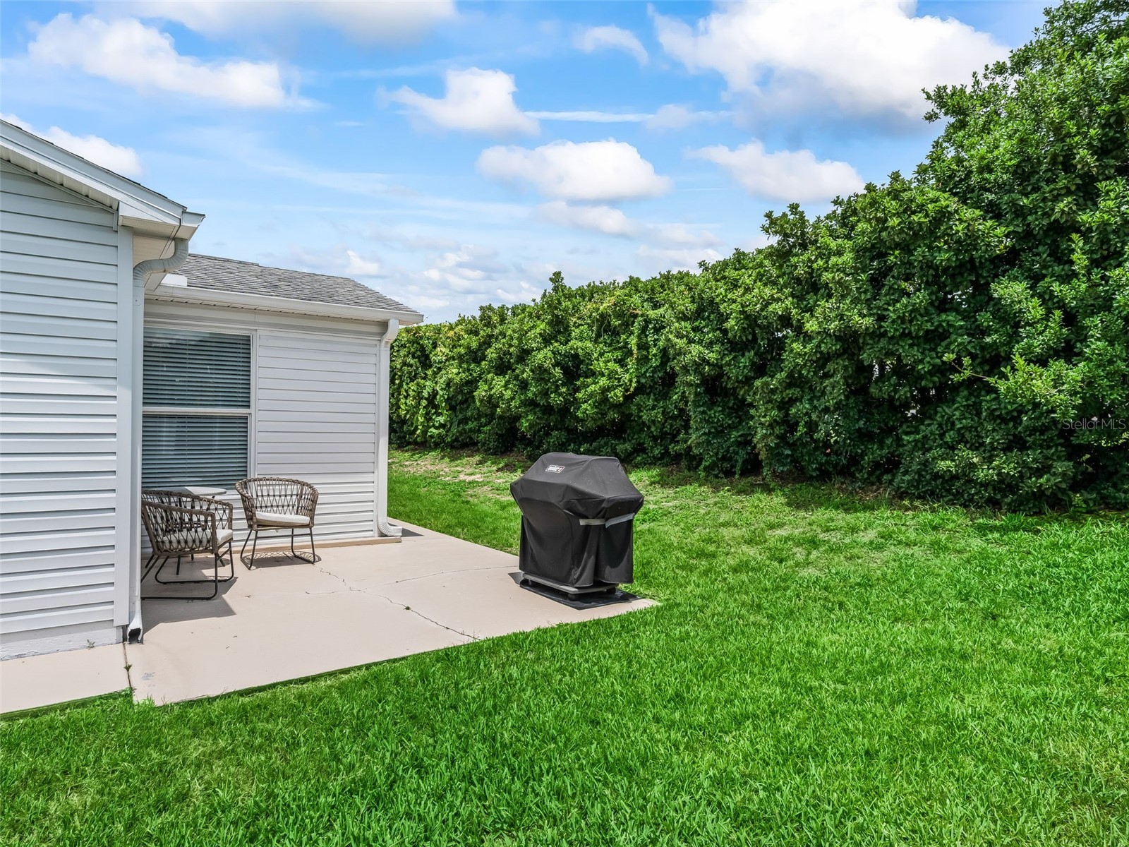 321 San Marino Drive The Villages FL 32159 G5113749 image37