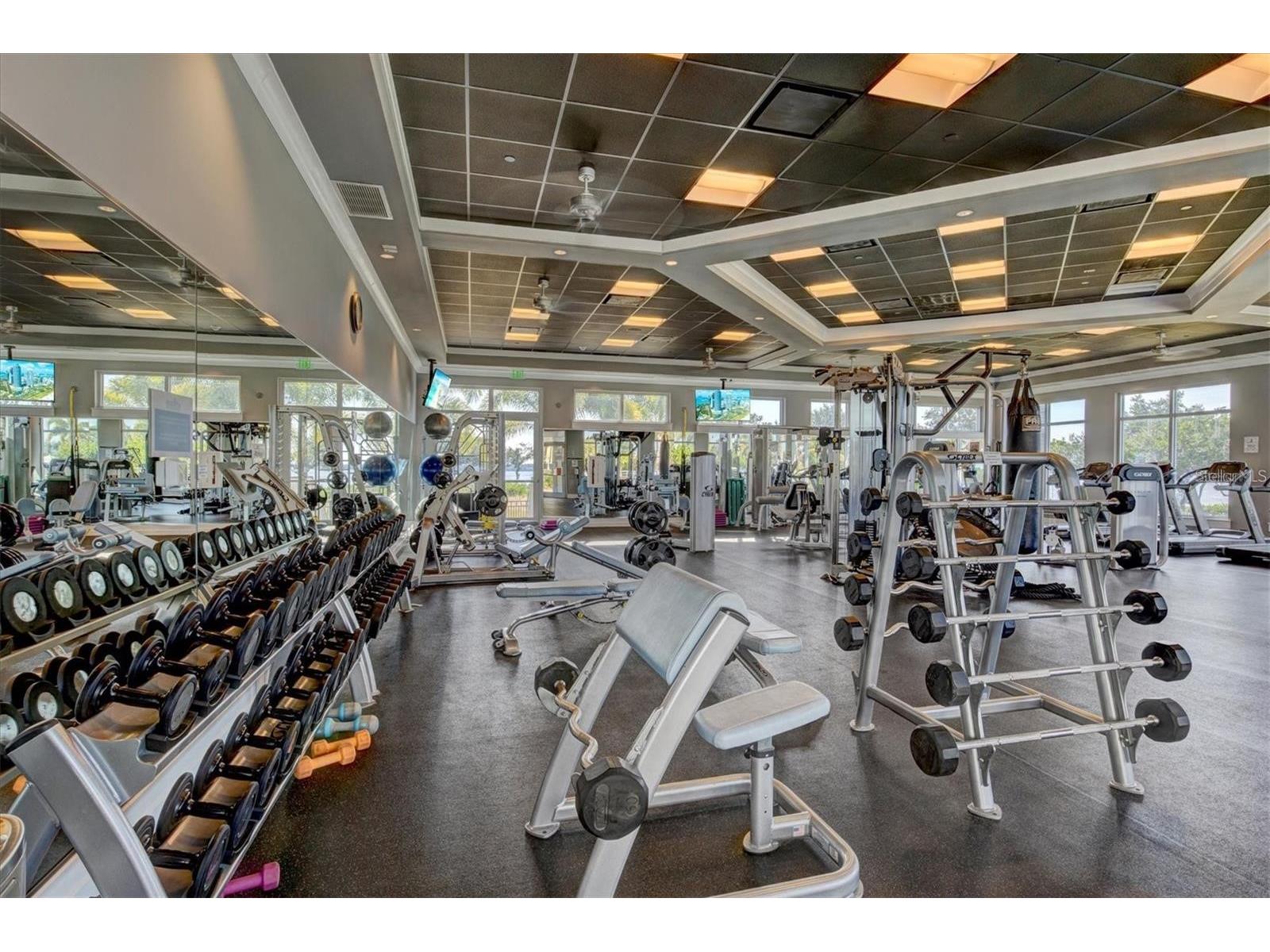 321 Sapphire Lake Drive #202 Bradenton FL 34209 A4667327 image85