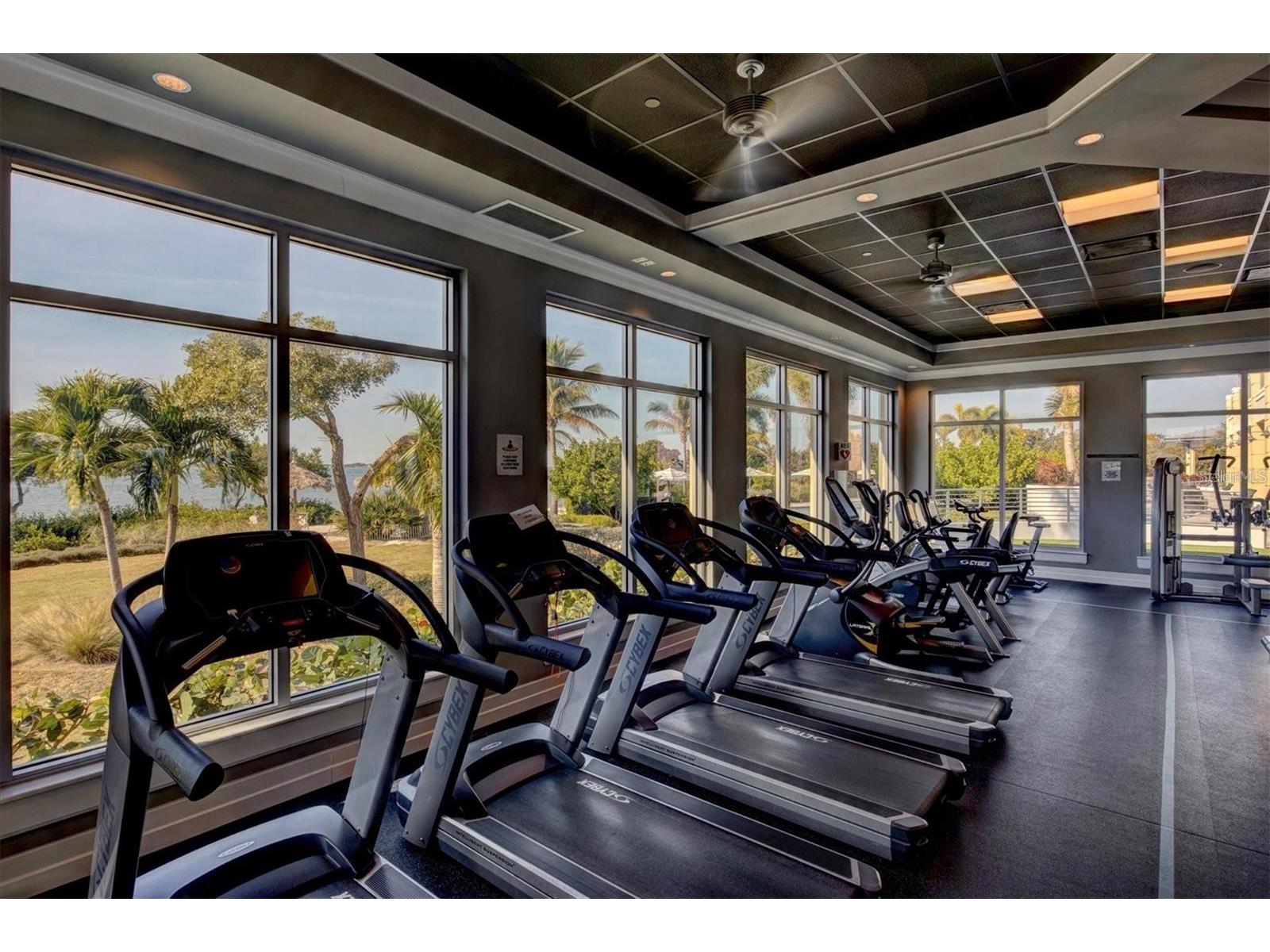 321 Sapphire Lake Drive #202 Bradenton FL 34209 A4667327 image86