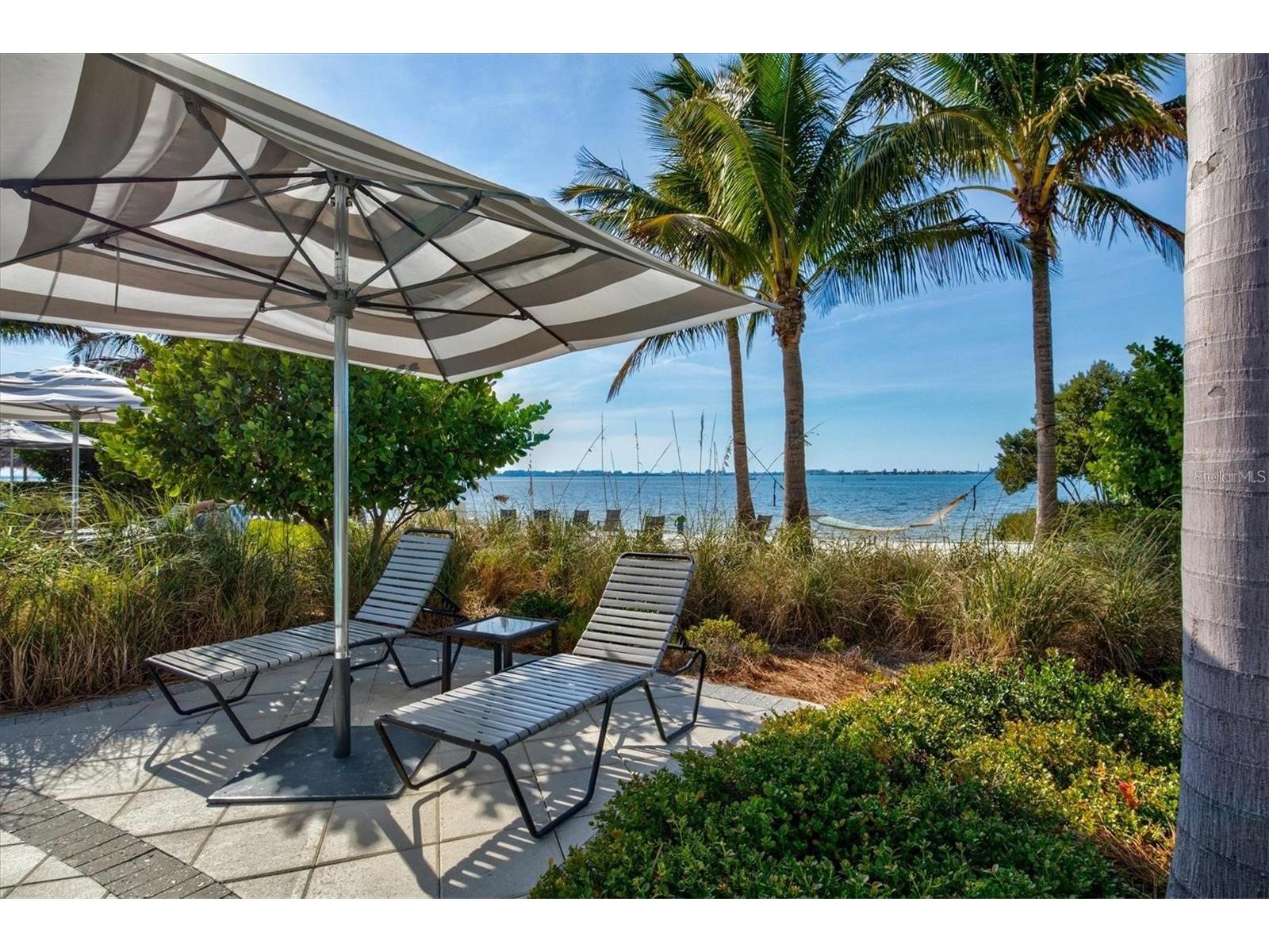 321 Sapphire Lake Drive #202 Bradenton FL 34209 A4667327 image94