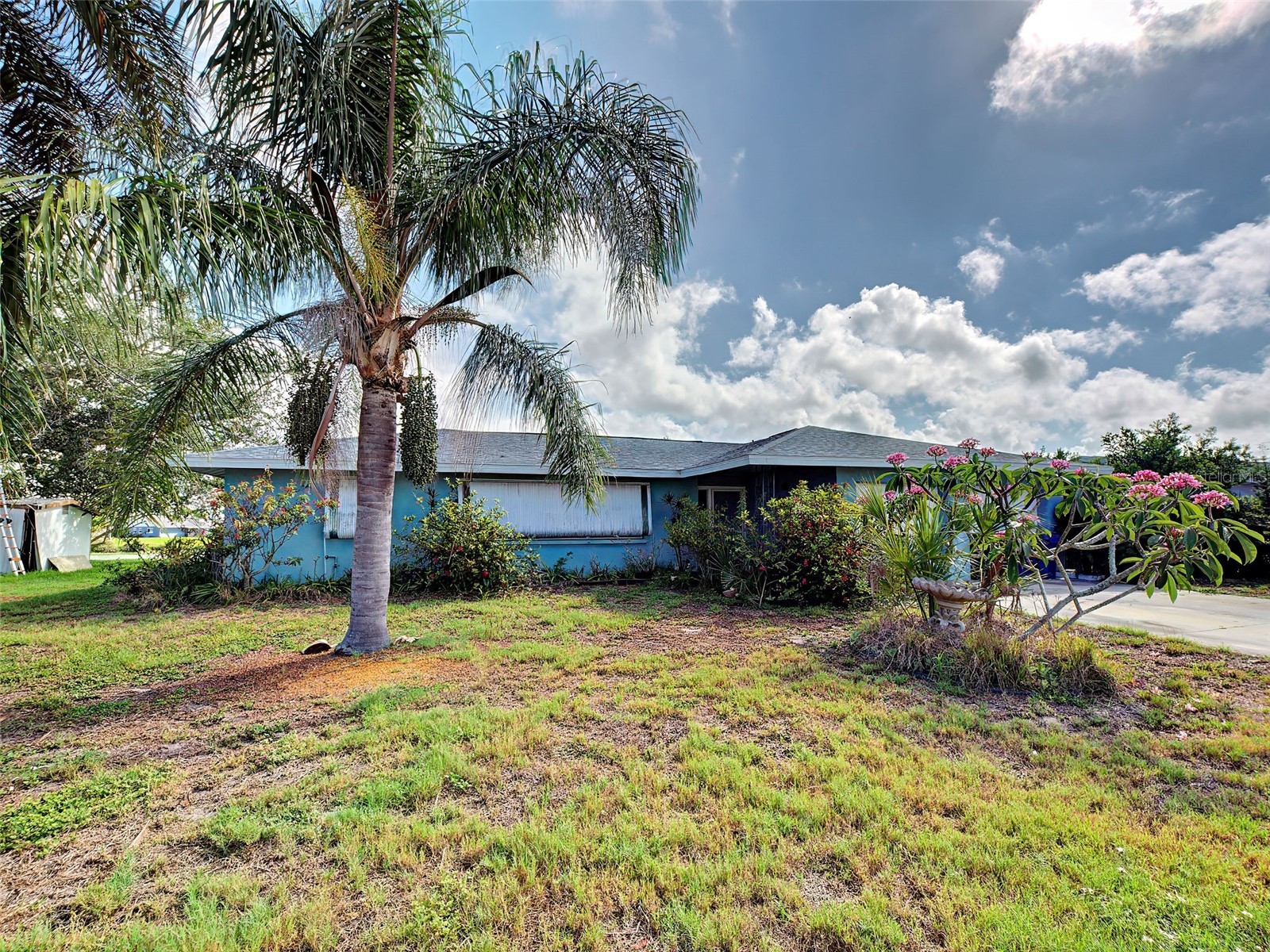 321 Shamrock Boulevard Venice FL 34293 - LAKE SHAMROCK D6147531 image2