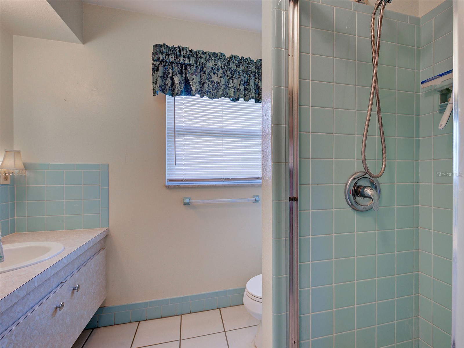 321 Shamrock Boulevard Venice FL 34293 - LAKE SHAMROCK D6147531 image28
