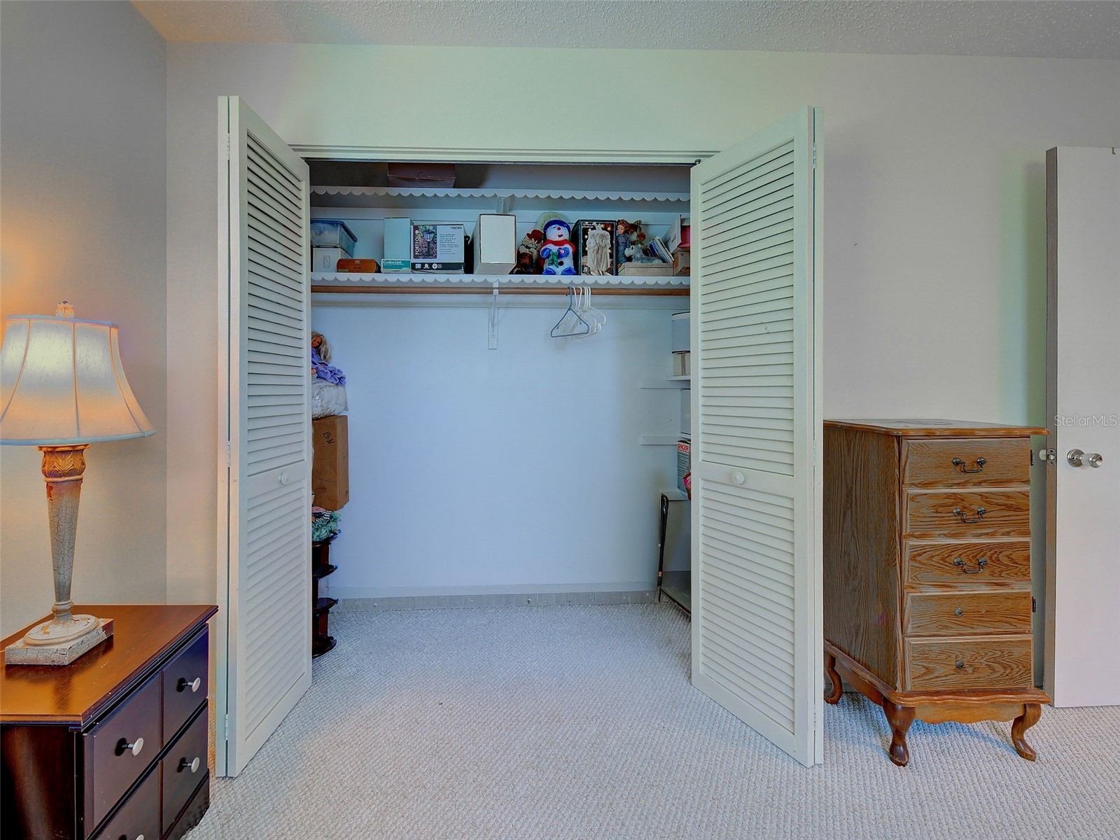 321 Shamrock Boulevard Venice FL 34293 - LAKE SHAMROCK D6147531 image32
