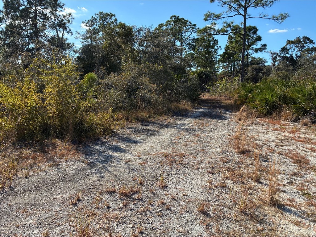 321 Showboat Avenue Lake Placid FL 33852 O6364371 image1