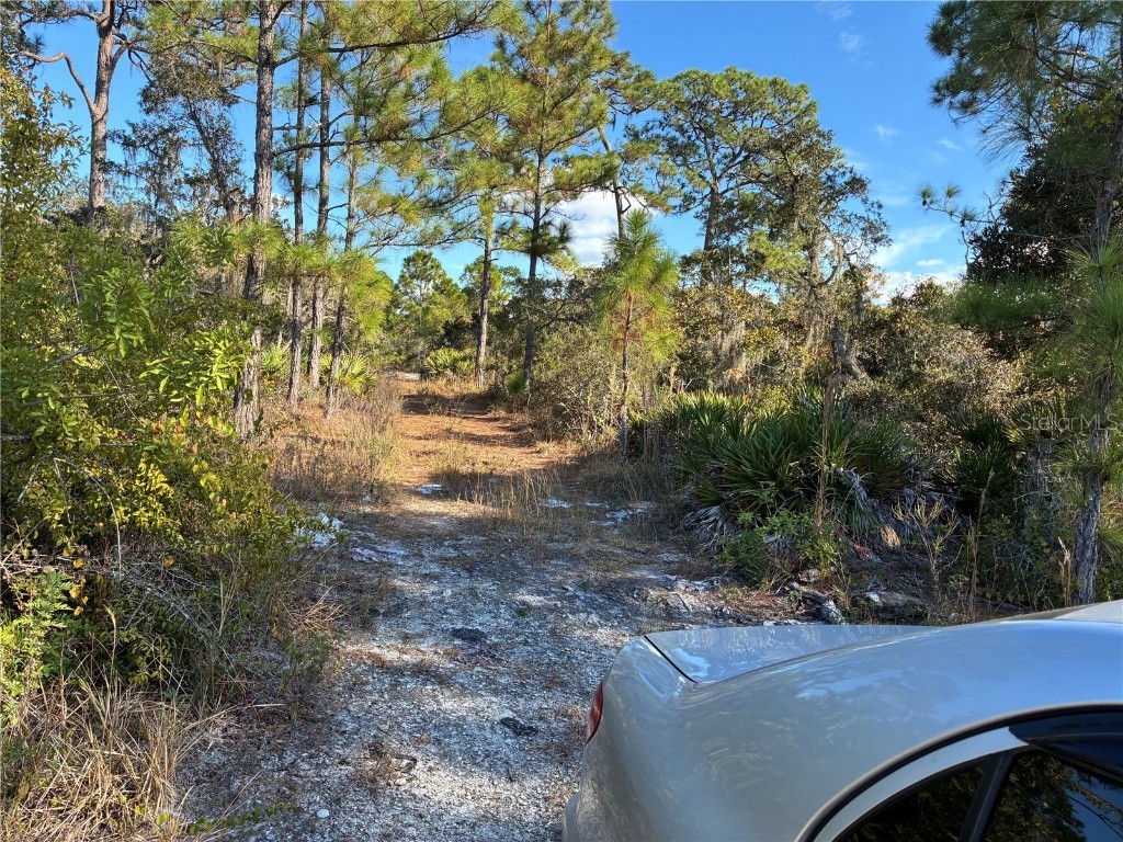 321 Showboat Avenue Lake Placid FL 33852 O6364371 image2