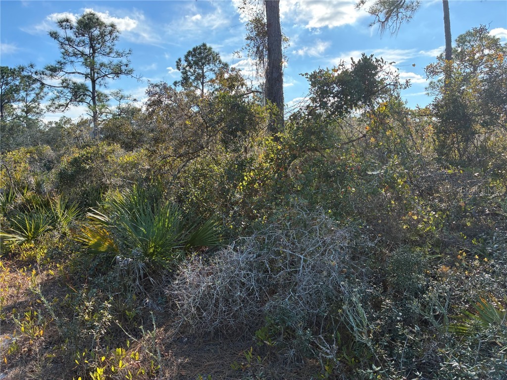 321 Showboat Avenue Lake Placid FL 33852 O6364371 image3