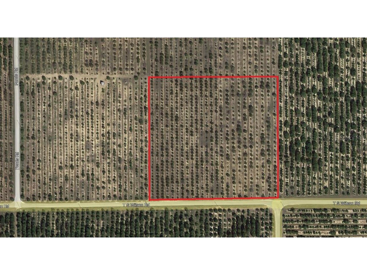321 Ts Wilson Road Road Frostproof FL 33843 P4926377 image1