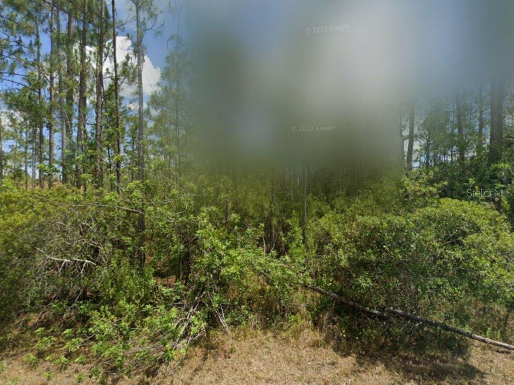 321 Urbana Lehigh Acres FL 33972 S5106802 image1